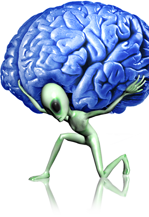 Zoot Brain